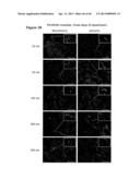 METHOD FOR SCREENING SIZE OF CARRIER diagram and image