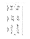 ANTAGONISTS OF LIGANDS AND USES THEREOF diagram and image