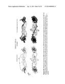 ANTAGONISTS OF LIGANDS AND USES THEREOF diagram and image