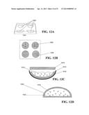 Light-Sensitive Ion-Passing Molecules diagram and image