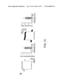 Light-Sensitive Ion-Passing Molecules diagram and image