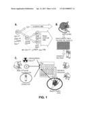 METHODS OF EXPANDING MYELOID CELL POPULATIONS AND USES THEREOF diagram and image