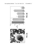 METHODS OF EXPANDING MYELOID CELL POPULATIONS AND USES THEREOF diagram and image