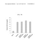 PHARMACEUTICAL COMPOSITION TO PREVENT AND TREAT ALZHEIMER S DISEASE     COMPRISING GCP II MUTANT diagram and image