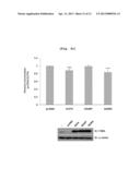 PHARMACEUTICAL COMPOSITION TO PREVENT AND TREAT ALZHEIMER S DISEASE     COMPRISING GCP II MUTANT diagram and image