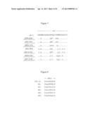 New Humanized Anti-CD20 Monoclonal Antibody diagram and image