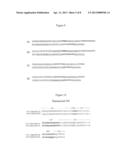 New Humanized Anti-CD20 Monoclonal Antibody diagram and image