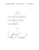 New Humanized Anti-CD20 Monoclonal Antibody diagram and image