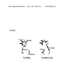 Antibodies with Enhanced or Suppressed Effector Function diagram and image