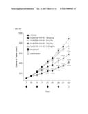 ANTI C-MET ANTIBODY AND USES THEREOF diagram and image