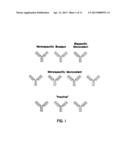 METHOD FOR MAKING HETEROMULTIMERIC POLYPEPTIDES diagram and image