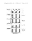 METHOD FOR MAKING HETEROMULTIMERIC POLYPEPTIDES diagram and image