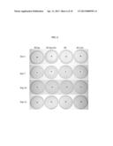 NANO-ENCAPSULATED THERAPEUTICS FOR CONTROLLED TREATMENT OF INFECTION AND     OTHER DISEASES diagram and image