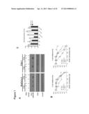 Treating Cancer with ATR Inhibitors diagram and image