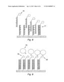 METHOD FOR DETECTING THE PRESENCE OF SPECIFIC MICRO-ORGANISMS AND DEVICE     FOR THE SAME diagram and image