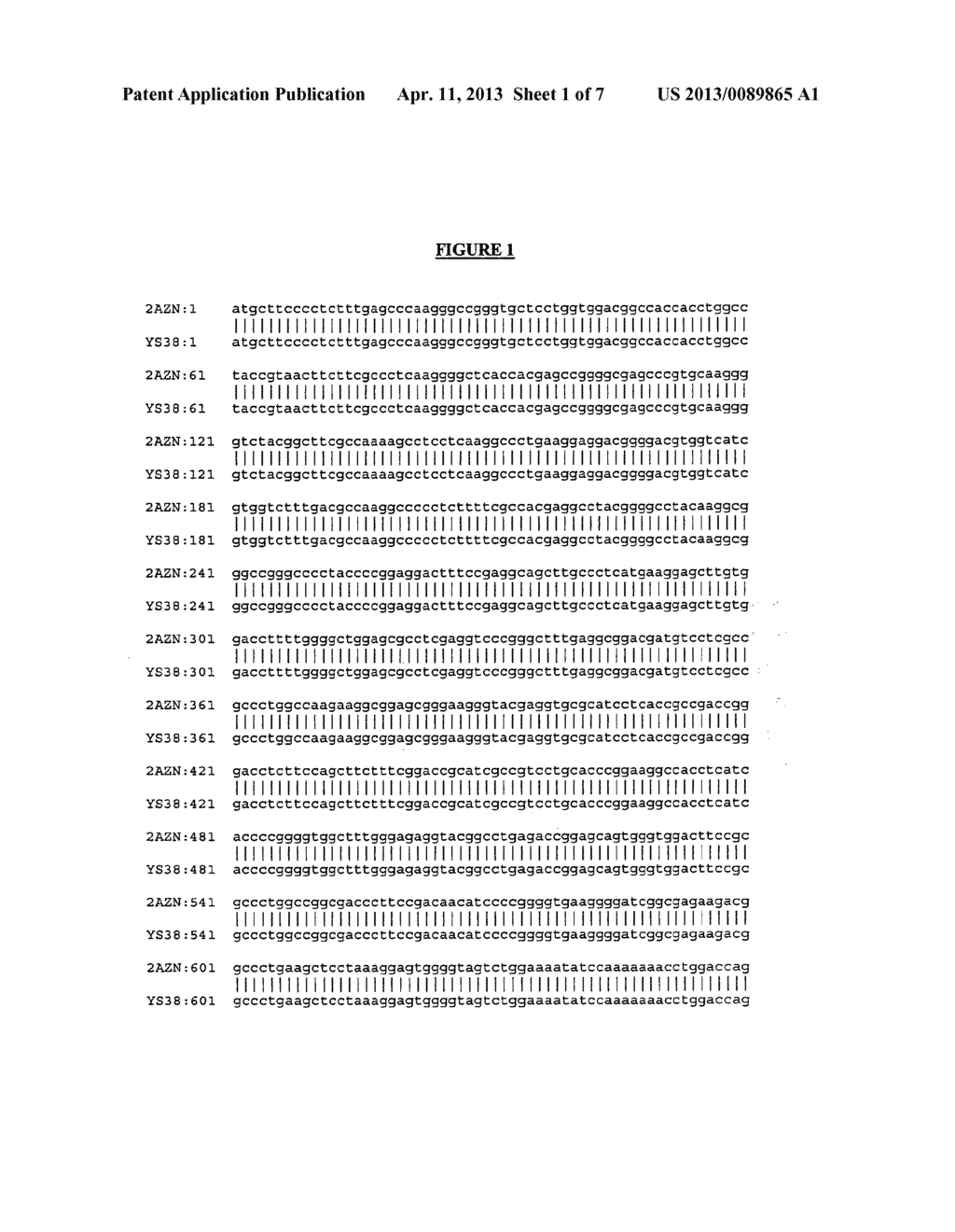 THERMUS BROCKIANUS NUCLEIC ACID POLYMERASES - diagram, schematic, and image 02