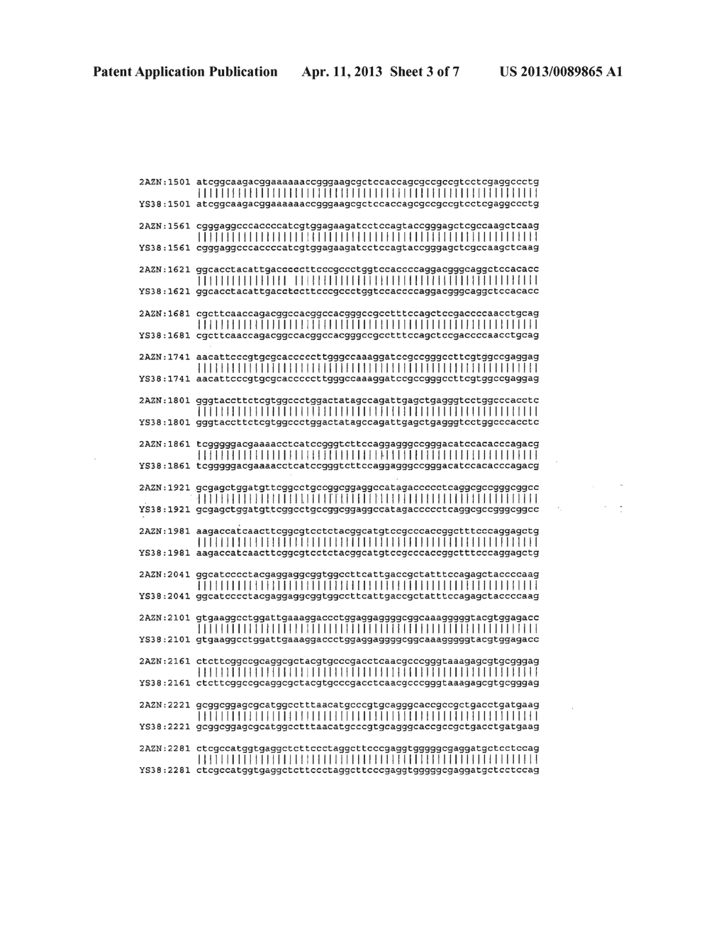 THERMUS BROCKIANUS NUCLEIC ACID POLYMERASES - diagram, schematic, and image 04