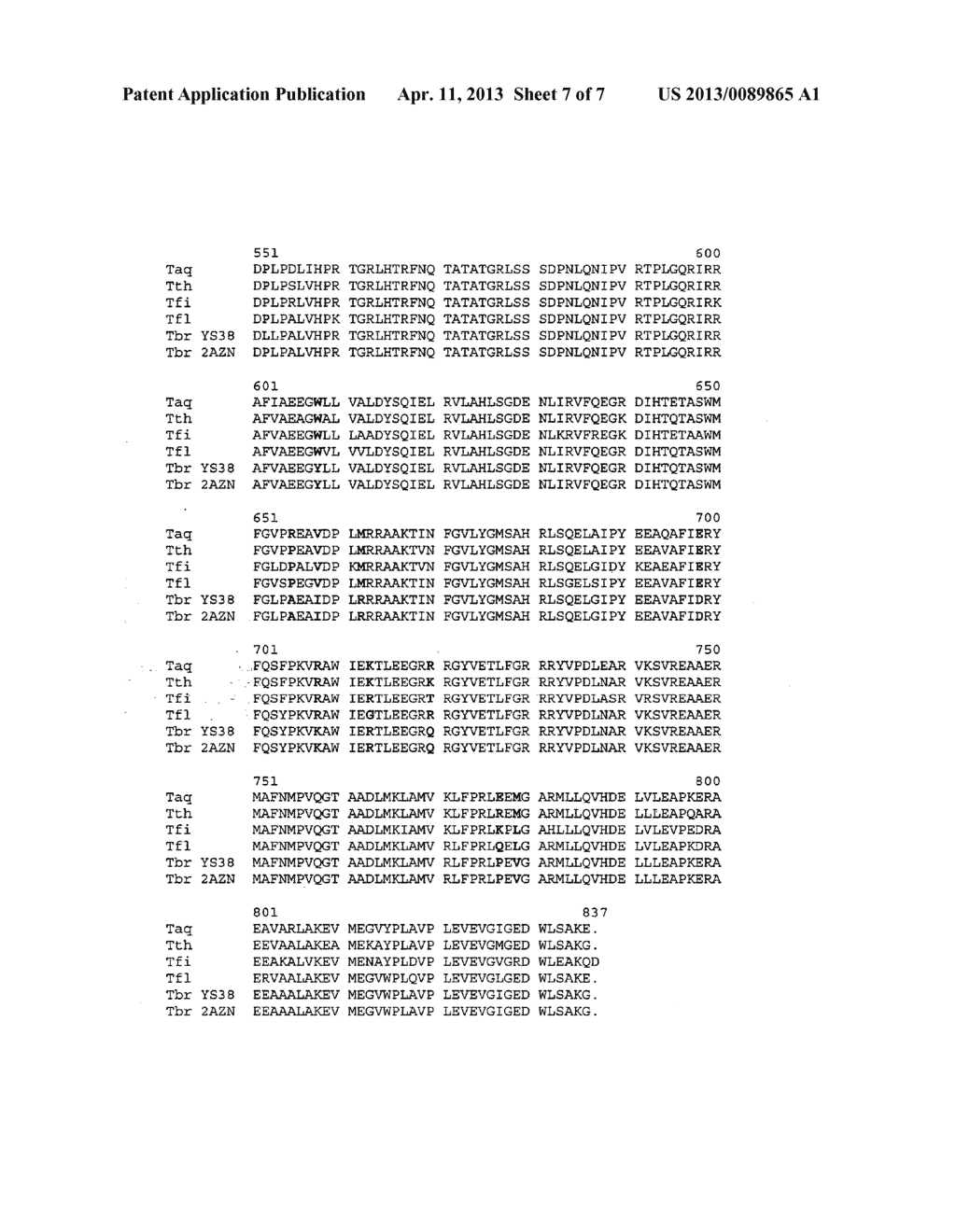 THERMUS BROCKIANUS NUCLEIC ACID POLYMERASES - diagram, schematic, and image 08