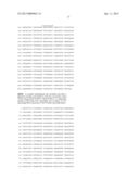 THERMUS BROCKIANUS NUCLEIC ACID POLYMERASES diagram and image