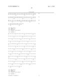 ISOFORMS OF THE HUMAN SST5 RECEPTOR ORIGINATED BY ALTERNATIVE SPLICING AND     OLIGONUCLEOTIDE PAIRS TO DETECT THEM BY PCR diagram and image