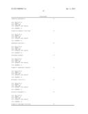 ISOFORMS OF THE HUMAN SST5 RECEPTOR ORIGINATED BY ALTERNATIVE SPLICING AND     OLIGONUCLEOTIDE PAIRS TO DETECT THEM BY PCR diagram and image