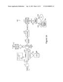 CAPILLARY BIOSENSOR SYSTEM AND ITS METHOD OF USE diagram and image