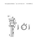 CAPILLARY BIOSENSOR SYSTEM AND ITS METHOD OF USE diagram and image