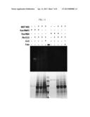 Chloroacetamidine Based Inhibitors and Activity Based Probes for the     Protein Arginine Methytransferases diagram and image