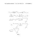 Protein Modification from the Oxidation of Clickable Polyunsaturated Fatty     Acid Analogs diagram and image