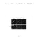 Protein Modification from the Oxidation of Clickable Polyunsaturated Fatty     Acid Analogs diagram and image