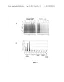 Protein Modification from the Oxidation of Clickable Polyunsaturated Fatty     Acid Analogs diagram and image