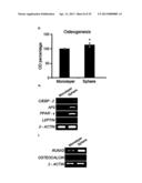 CD49F PROMOTING PROLIFERATION, MULTIPOTENCY AND REPROGRAMMING OF ADULT     STEM CELLS THROUGH PI3K/AKT/GSK3 PATHWAY diagram and image