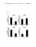 CD49F PROMOTING PROLIFERATION, MULTIPOTENCY AND REPROGRAMMING OF ADULT     STEM CELLS THROUGH PI3K/AKT/GSK3 PATHWAY diagram and image