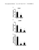 CD49F PROMOTING PROLIFERATION, MULTIPOTENCY AND REPROGRAMMING OF ADULT     STEM CELLS THROUGH PI3K/AKT/GSK3 PATHWAY diagram and image