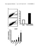 CD49F PROMOTING PROLIFERATION, MULTIPOTENCY AND REPROGRAMMING OF ADULT     STEM CELLS THROUGH PI3K/AKT/GSK3 PATHWAY diagram and image