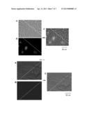 Aggregation Induced Emission Active Cytophilic Fluorescent Bioprobes for     Long-Term Cell Tracking diagram and image