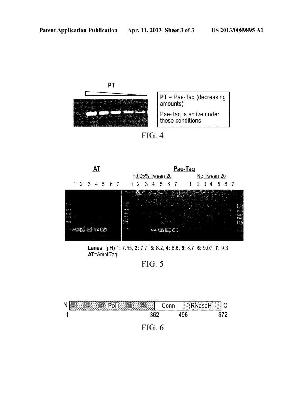 Polypeptides Having Nucleic Acid Binding Activity and Compositions and     Methods For Nucleic Acid Amplification - diagram, schematic, and image 04