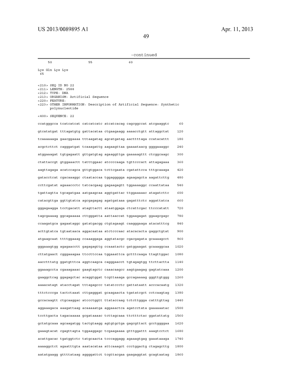 Polypeptides Having Nucleic Acid Binding Activity and Compositions and     Methods For Nucleic Acid Amplification - diagram, schematic, and image 53