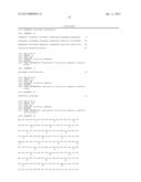 Polypeptides Having Nucleic Acid Binding Activity and Compositions and     Methods For Nucleic Acid Amplification diagram and image