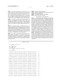 NOVEL THRAUSTOCHYTRID-BASED MICROALGAE, AND METHOD FOR PREPARING BIO-OIL     BY USING SAME diagram and image