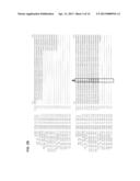 YARROWIA N-ALKANE-HYDROXYLATING CYTOCHROME P450 PROMOTER REGIONS FOR GENE     EXPRESSION IN YEAST diagram and image