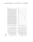 YARROWIA N-ALKANE-HYDROXYLATING CYTOCHROME P450 PROMOTER REGIONS FOR GENE     EXPRESSION IN YEAST diagram and image