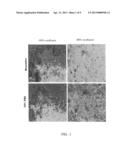 Serum-Free Chemically Defined Cell Culture Medium diagram and image