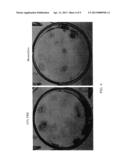 Serum-Free Chemically Defined Cell Culture Medium diagram and image