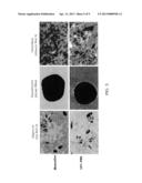 Serum-Free Chemically Defined Cell Culture Medium diagram and image