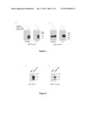 TOOLS FOR THE IDENTIFICATION OF LINGO-1, LINGO-2, LINGO-3 AND LINGO-4     LIGANDS, AND USES THEREOF diagram and image