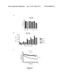 TOOLS FOR THE IDENTIFICATION OF LINGO-1, LINGO-2, LINGO-3 AND LINGO-4     LIGANDS, AND USES THEREOF diagram and image