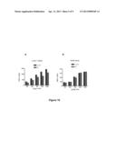 TOOLS FOR THE IDENTIFICATION OF LINGO-1, LINGO-2, LINGO-3 AND LINGO-4     LIGANDS, AND USES THEREOF diagram and image