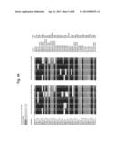 Biological Markers of Chronic Wound Tissue and Methods of Using for     Criteria in Surgical Debridement diagram and image