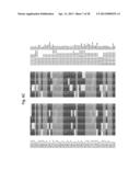 Biological Markers of Chronic Wound Tissue and Methods of Using for     Criteria in Surgical Debridement diagram and image